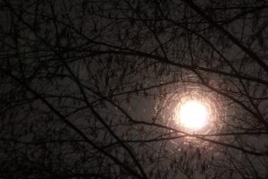 Expérience nocturne