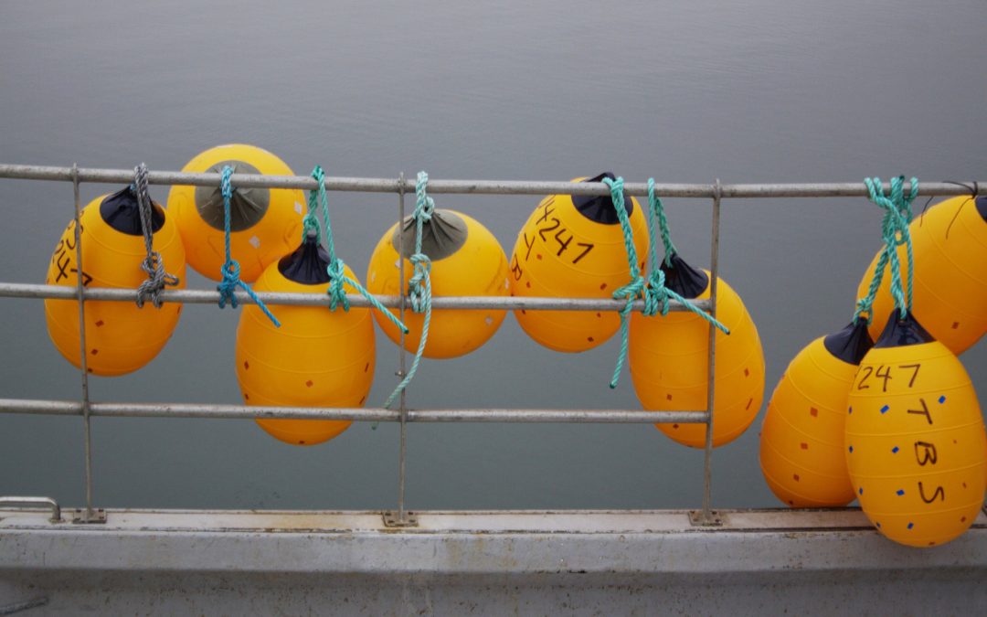 Commercial Fishing Experience