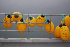 Expérience pêche commerciale