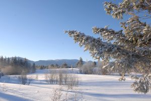 Randonnée pédestre hiver