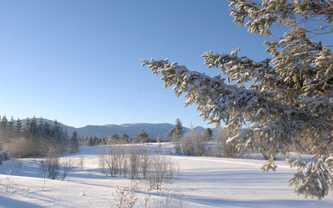 randonnée_pédestre_hiver