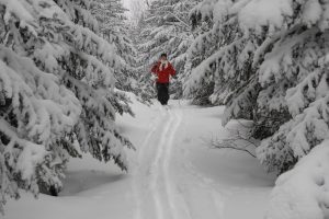 Ski de fond