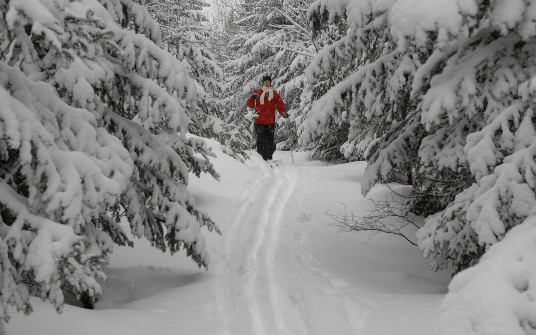 ski_de_fond