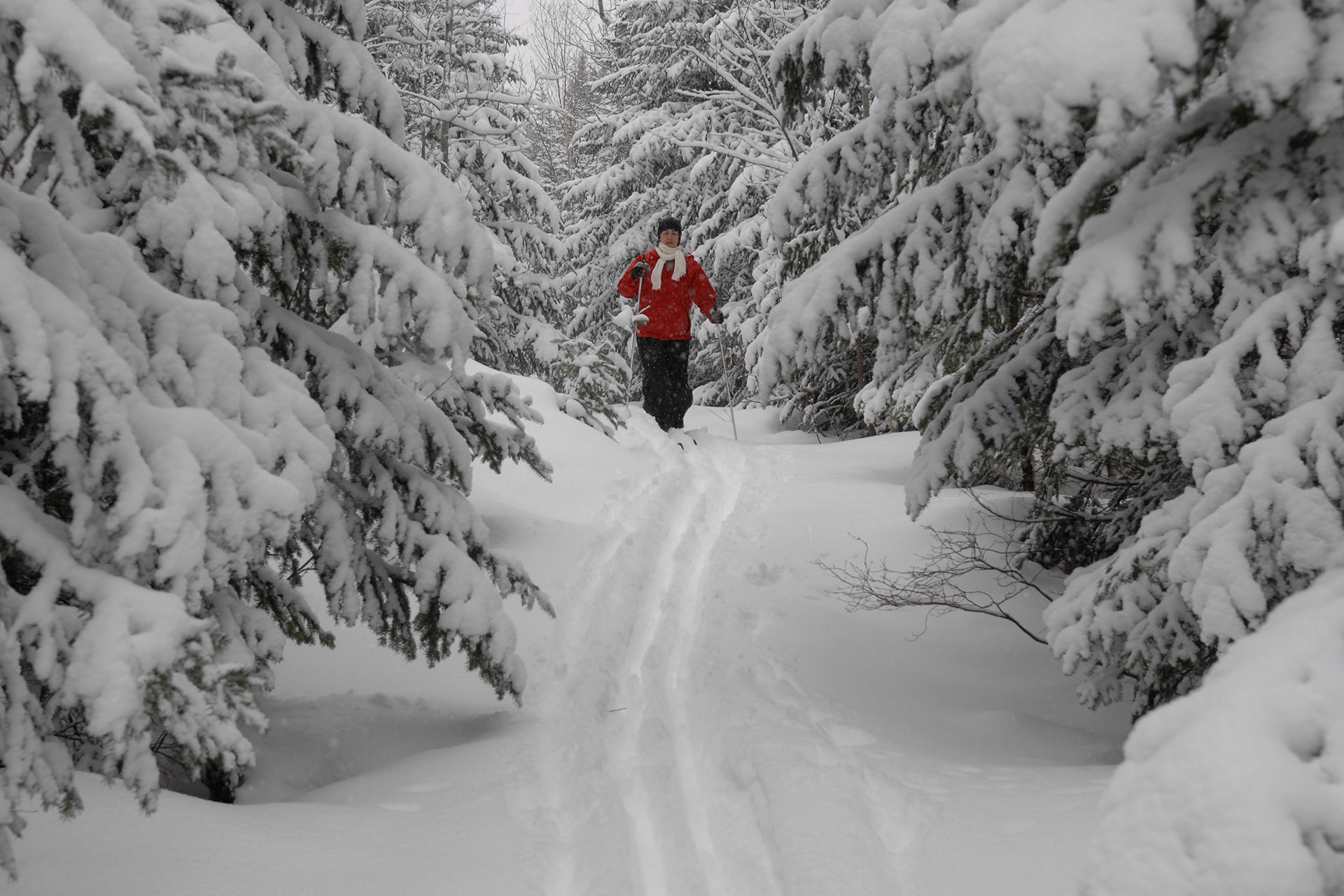 Ski de fond