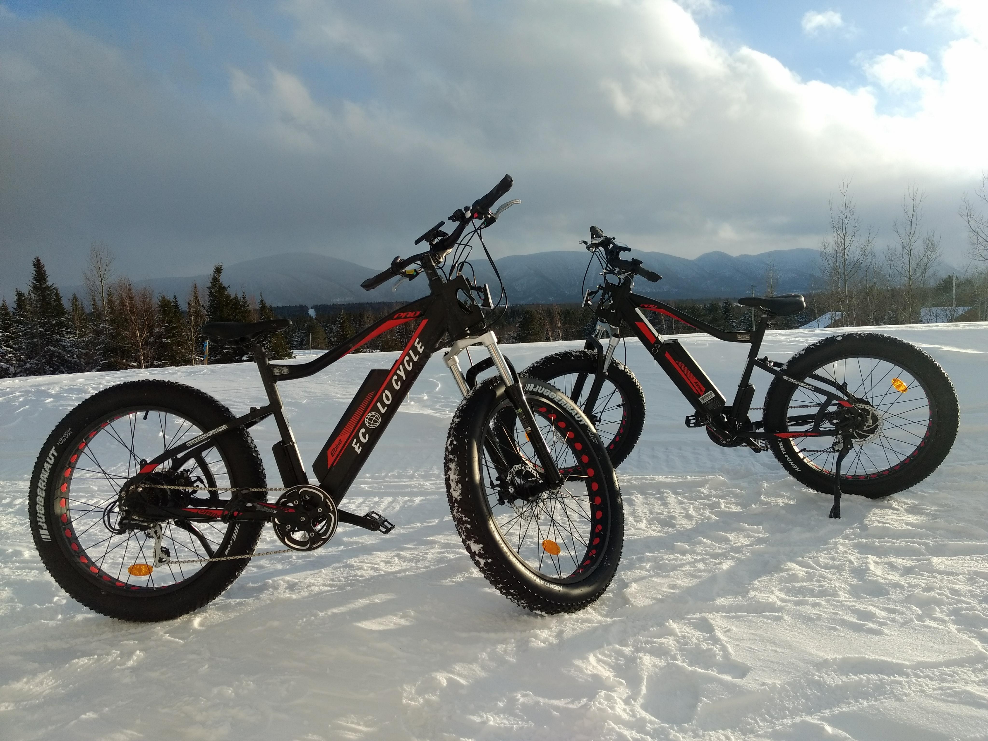 Bannière skidoo