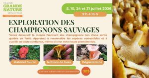 tarif: 20$ pour ceux qui ont un hébergement. Nous aurons d’autres dates offertes en Août: 10-15-28 et Septembre: 7-11