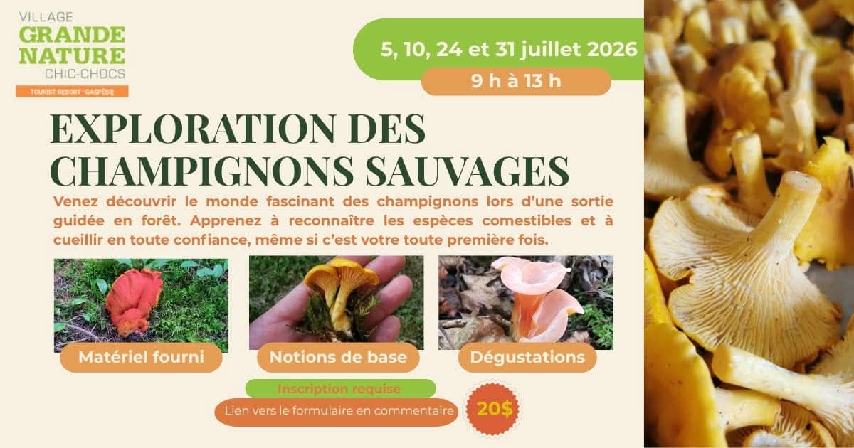 tarif: 20$ pour ceux qui ont un hébergement. Nous aurons d’autres dates offertes en Août: 10-15-28 et Septembre: 7-11